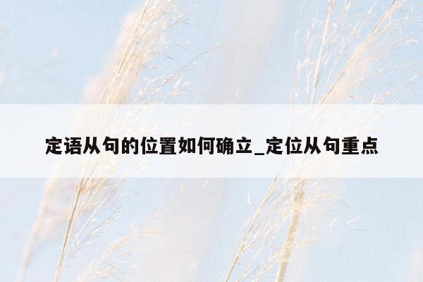 定语从句的位置如何确立_定位从句重点
