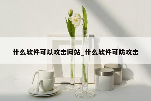 什么软件可以攻击网站_什么软件可防攻击