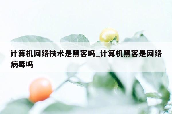 计算机网络技术是黑客吗_计算机黑客是网络病毒吗