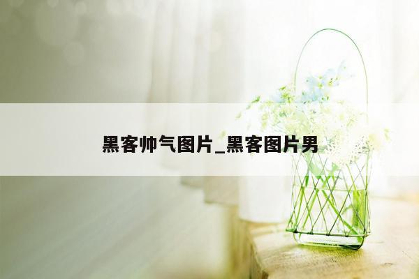 黑客帅气图片_黑客图片男