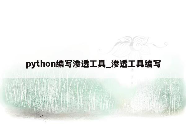 python编写渗透工具_渗透工具编写