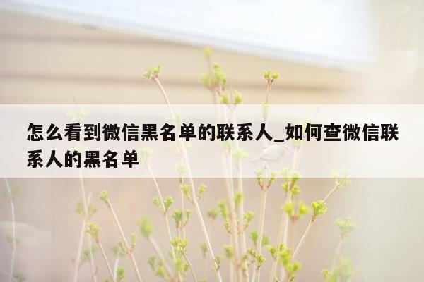 怎么看到微信黑名单的联系人_如何查微信联系人的黑名单