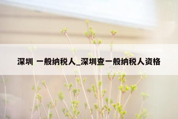 深圳 一般纳税人_深圳查一般纳税人资格