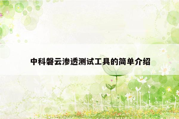 中科磐云渗透测试工具的简单介绍