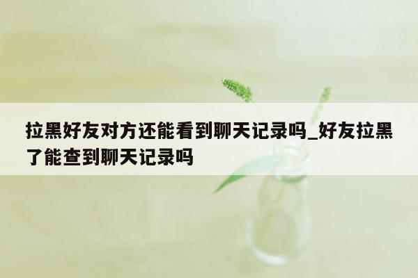 拉黑好友对方还能看到聊天记录吗_好友拉黑了能查到聊天记录吗