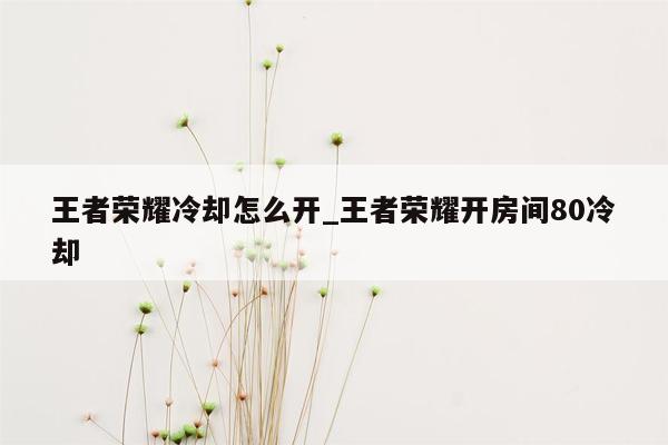 王者荣耀冷却怎么开_王者荣耀开房间80冷却