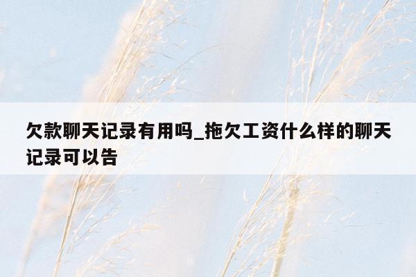 欠款聊天记录有用吗_拖欠工资什么样的聊天记录可以告