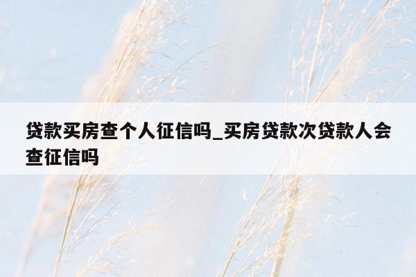 贷款买房查个人征信吗_买房贷款次贷款人会查征信吗