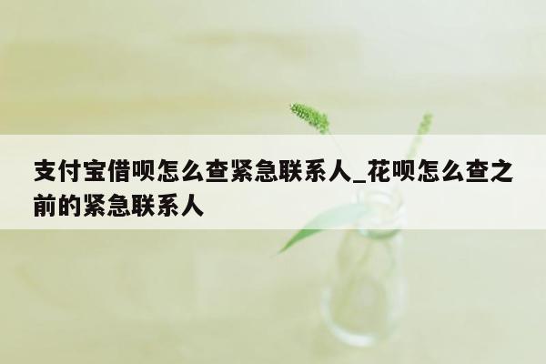 支付宝借呗怎么查紧急联系人_花呗怎么查之前的紧急联系人