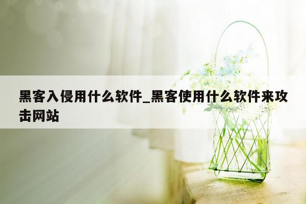 黑客入侵用什么软件_黑客使用什么软件来攻击网站