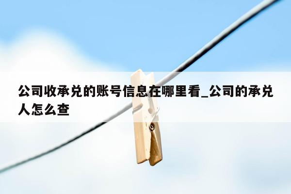 公司收承兑的账号信息在哪里看_公司的承兑人怎么查