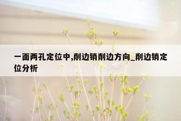 一面两孔定位中,削边销削边方向_削边销定位分析