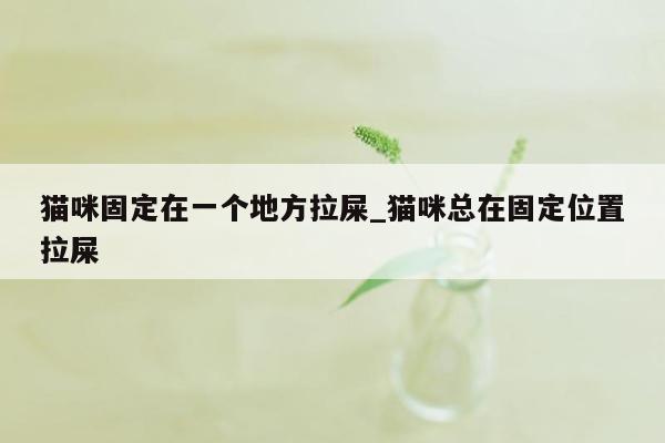 猫咪固定在一个地方拉屎_猫咪总在固定位置拉屎