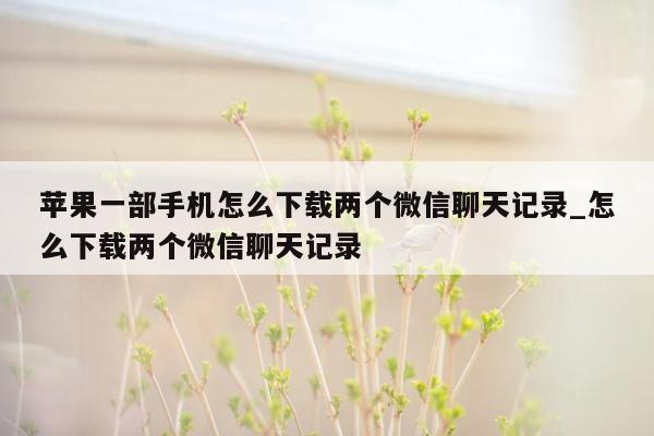 苹果一部手机怎么下载两个微信聊天记录_怎么下载两个微信聊天记录