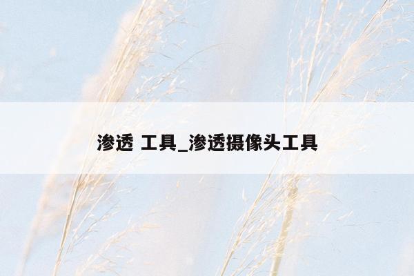渗透 工具_渗透摄像头工具