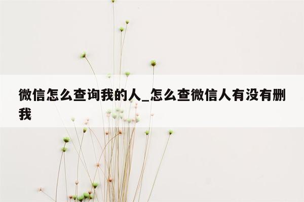 微信怎么查询我的人_怎么查微信人有没有删我