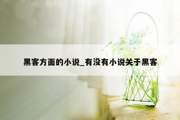 黑客方面的小说_有没有小说关于黑客