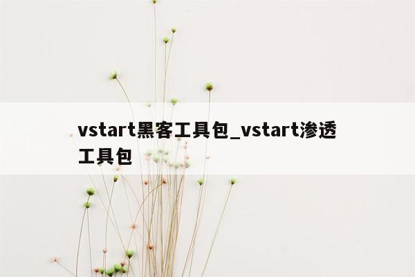vstart黑客工具包_vstart渗透工具包