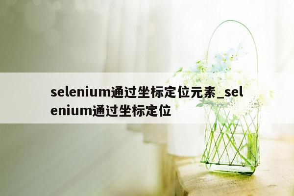 selenium通过坐标定位元素_selenium通过坐标定位