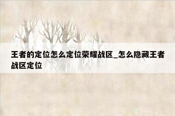 王者的定位怎么定位荣耀战区_怎么隐藏王者战区定位