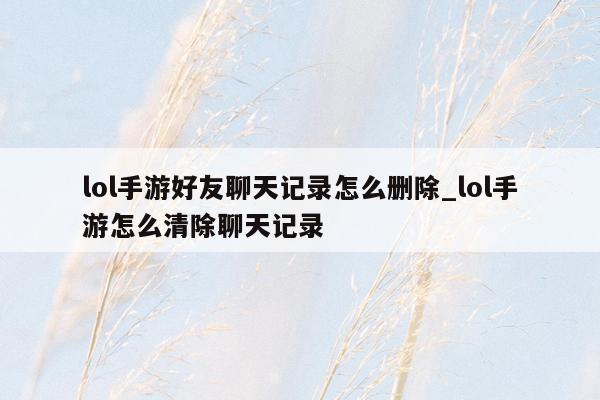 lol手游好友聊天记录怎么删除_lol手游怎么清除聊天记录