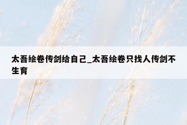 太吾绘卷传剑给自己_太吾绘卷只找人传剑不生育