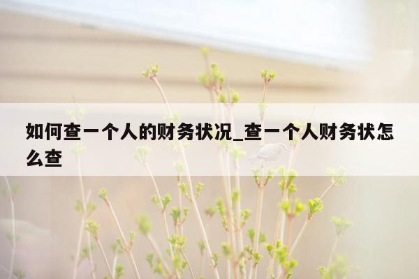 如何查一个人的财务状况_查一个人财务状怎么查