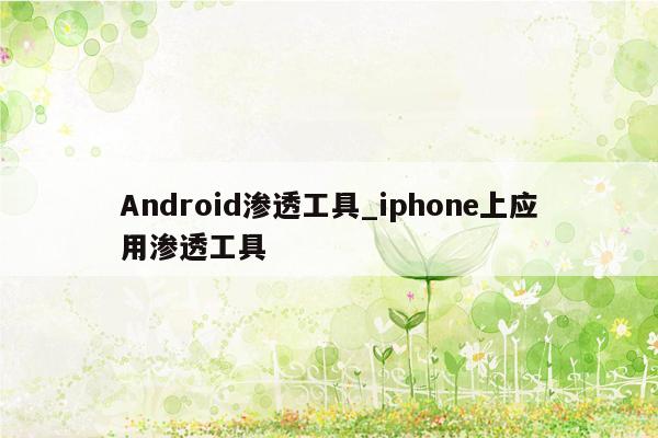 Android渗透工具_iphone上应用渗透工具