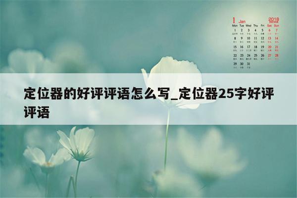 定位器的好评评语怎么写_定位器25字好评评语