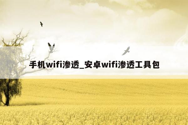 手机wifi渗透_安卓wifi渗透工具包