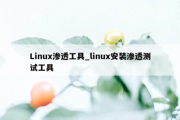Linux渗透工具_linux安装渗透测试工具