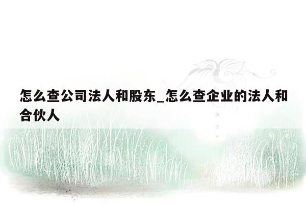 怎么查公司法人和股东_怎么查企业的法人和合伙人