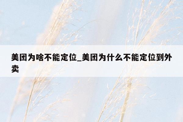 美团为啥不能定位_美团为什么不能定位到外卖