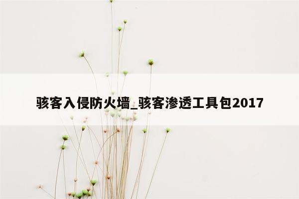 骇客入侵防火墙_骇客渗透工具包2017