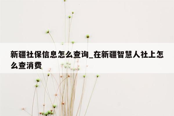 新疆社保信息怎么查询_在新疆智慧人社上怎么查消费