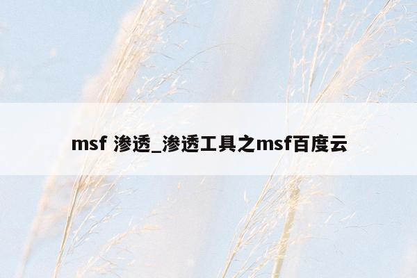 msf 渗透_渗透工具之msf百度云