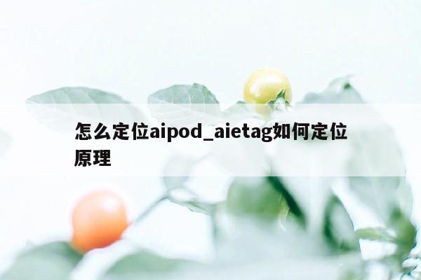 怎么定位aipod_aietag如何定位原理