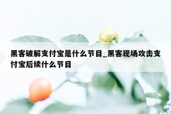 黑客破解支付宝是什么节目_黑客现场攻击支付宝后续什么节目