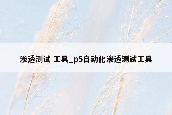 渗透测试 工具_p5自动化渗透测试工具