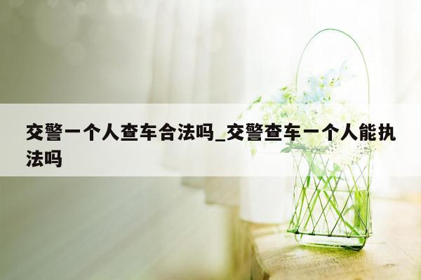 交警一个人查车合法吗_交警查车一个人能执法吗