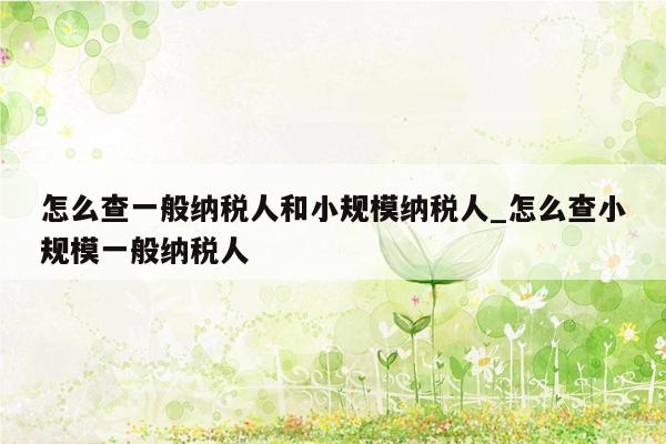 怎么查一般纳税人和小规模纳税人_怎么查小规模一般纳税人