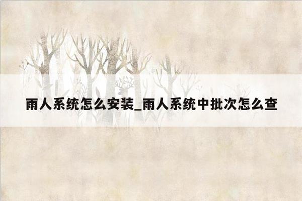 雨人系统怎么安装_雨人系统中批次怎么查