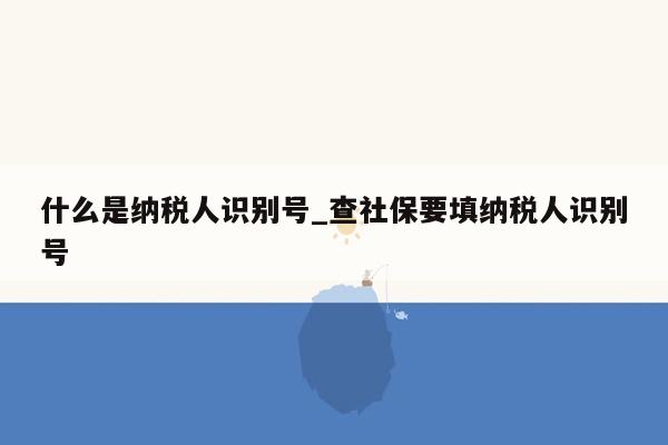 什么是纳税人识别号_查社保要填纳税人识别号