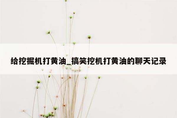 给挖掘机打黄油_搞笑挖机打黄油的聊天记录