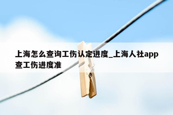 上海怎么查询工伤认定进度_上海人社app查工伤进度准