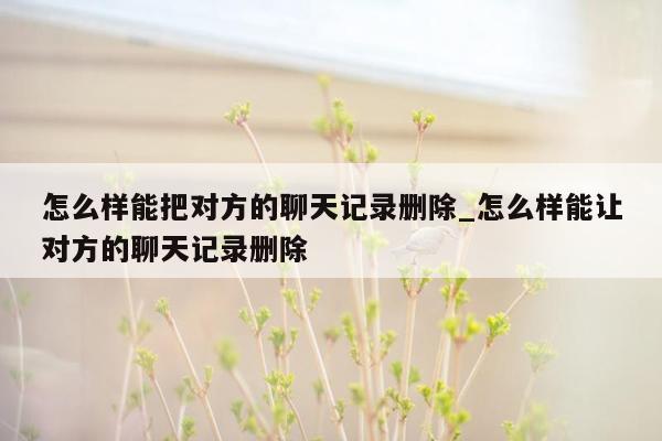 怎么样能把对方的聊天记录删除_怎么样能让对方的聊天记录删除