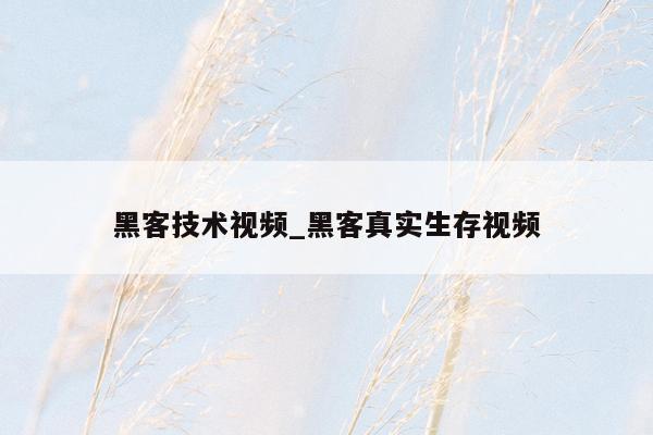黑客技术视频_黑客真实生存视频