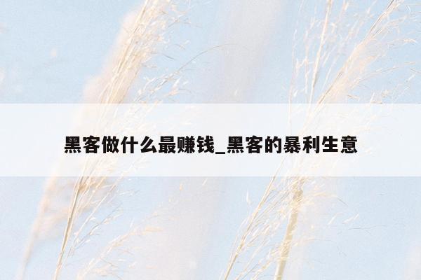 黑客做什么最赚钱_黑客的暴利生意
