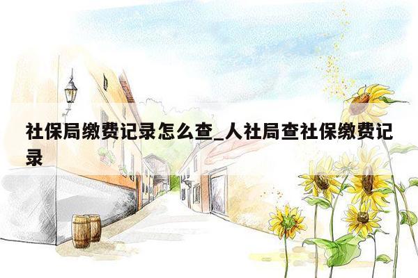 社保局缴费记录怎么查_人社局查社保缴费记录