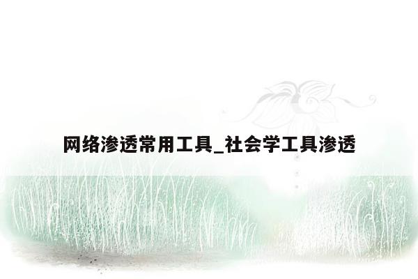 网络渗透常用工具_社会学工具渗透